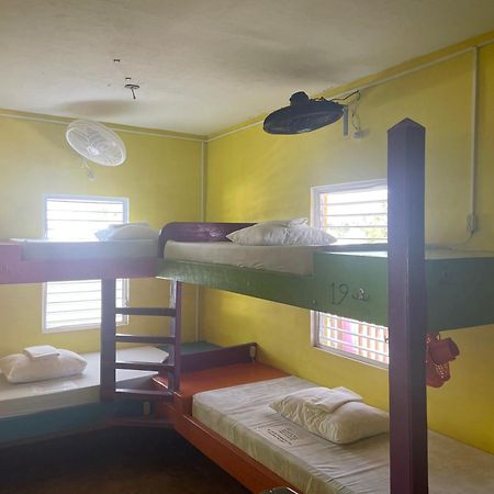 Хостел Travellers Palm Backpackers Кей-Колкер Экстерьер фото