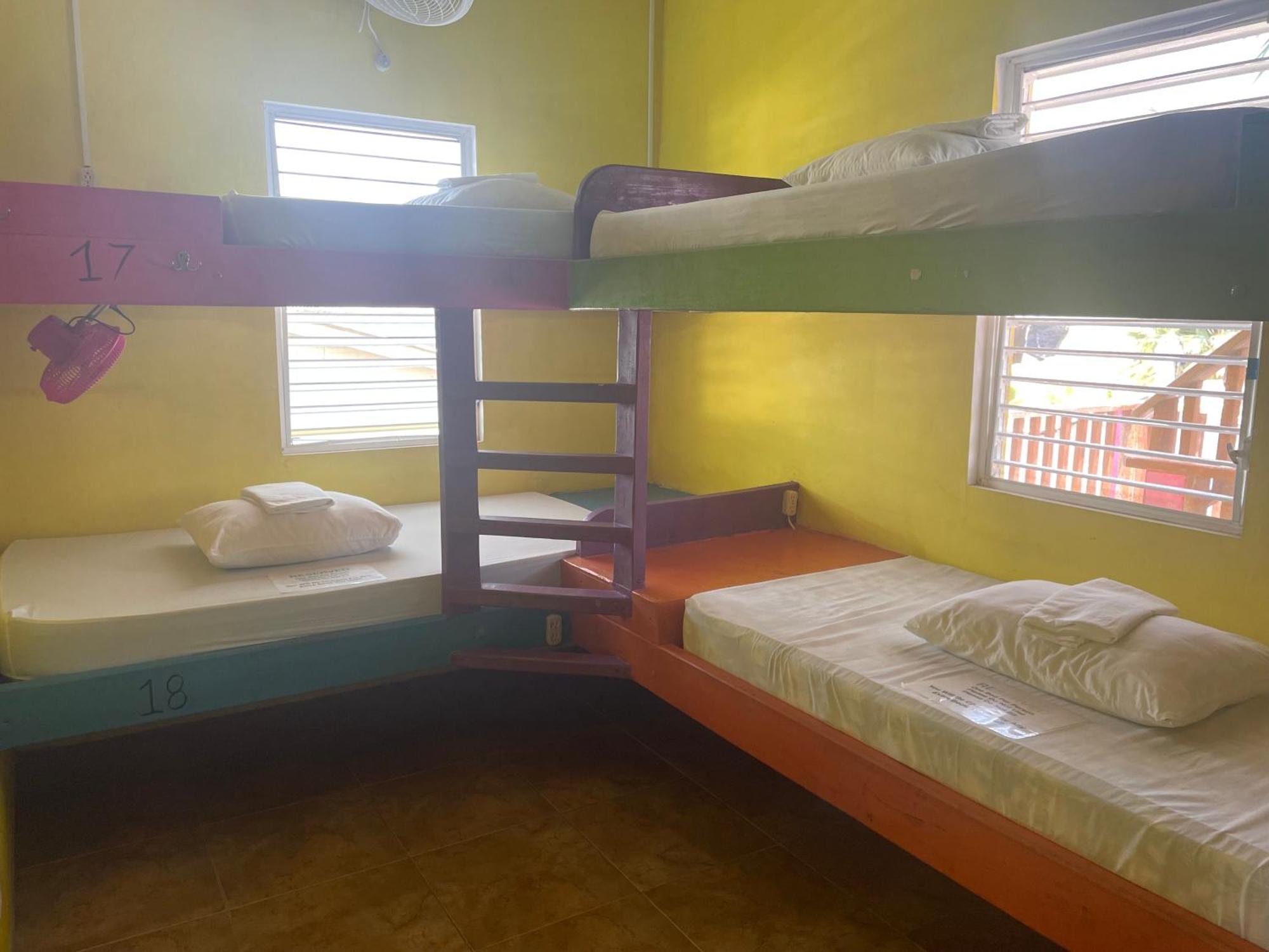 Хостел Travellers Palm Backpackers Кей-Колкер Экстерьер фото