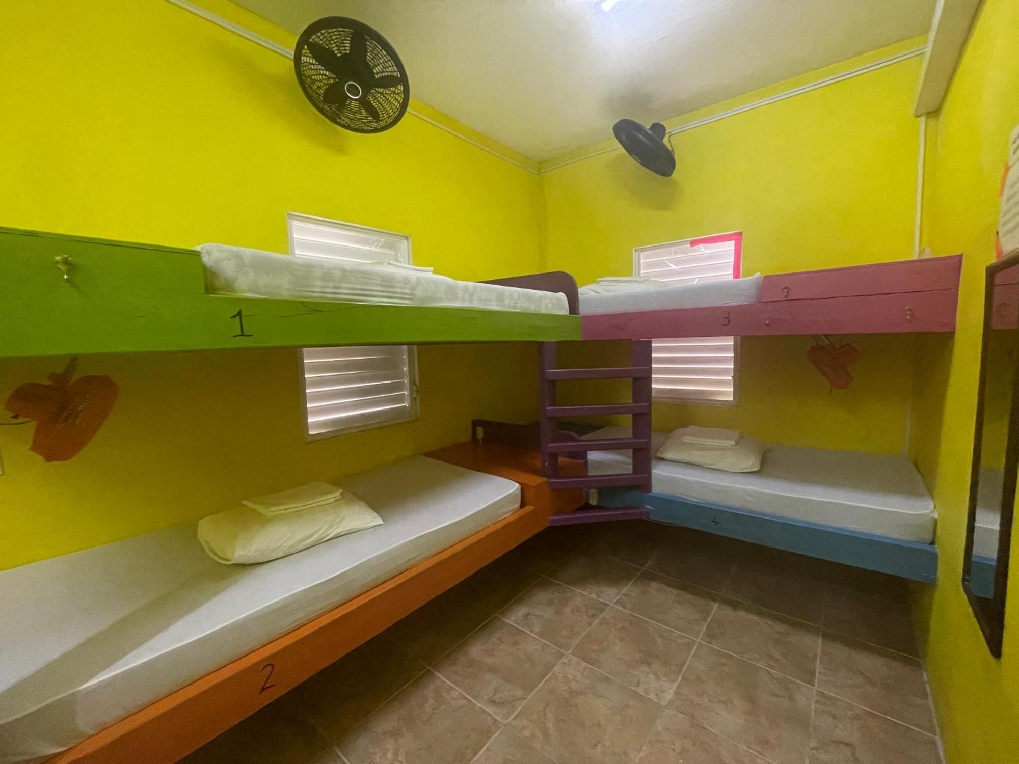 Хостел Travellers Palm Backpackers Кей-Колкер Экстерьер фото