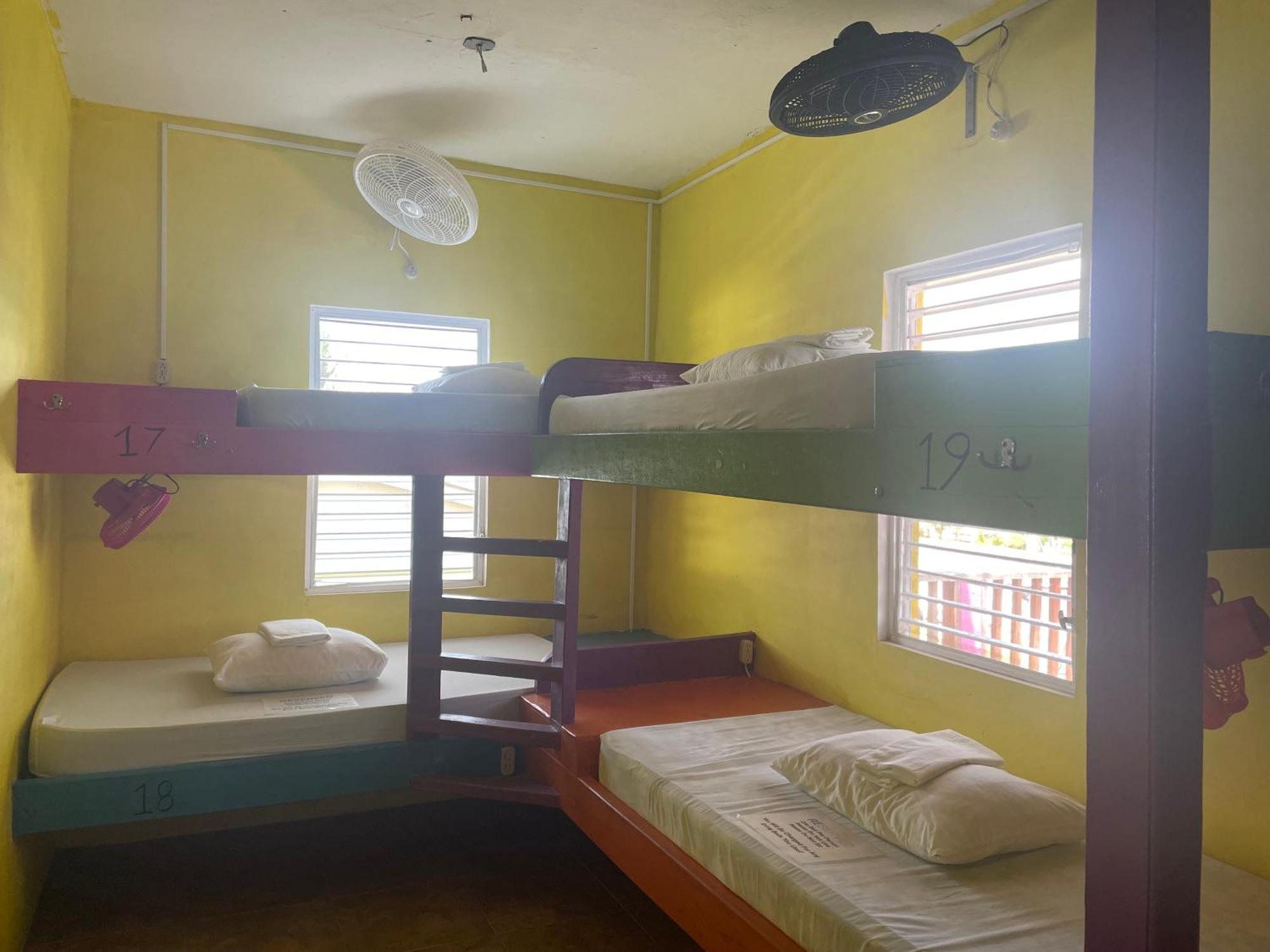 Хостел Travellers Palm Backpackers Кей-Колкер Экстерьер фото