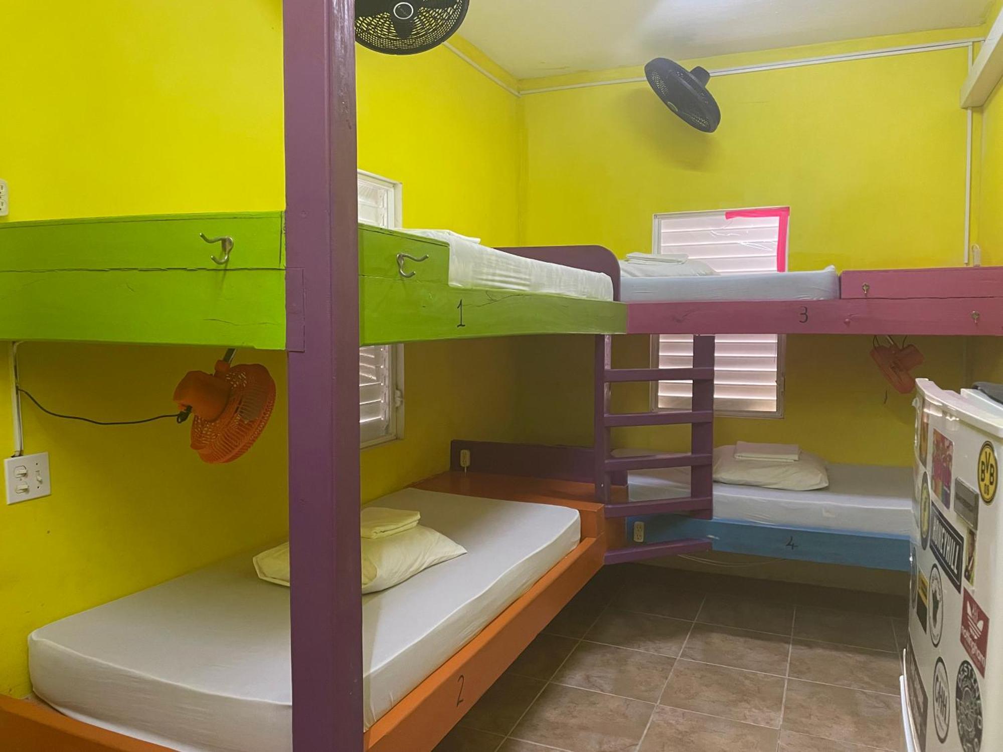 Хостел Travellers Palm Backpackers Кей-Колкер Экстерьер фото