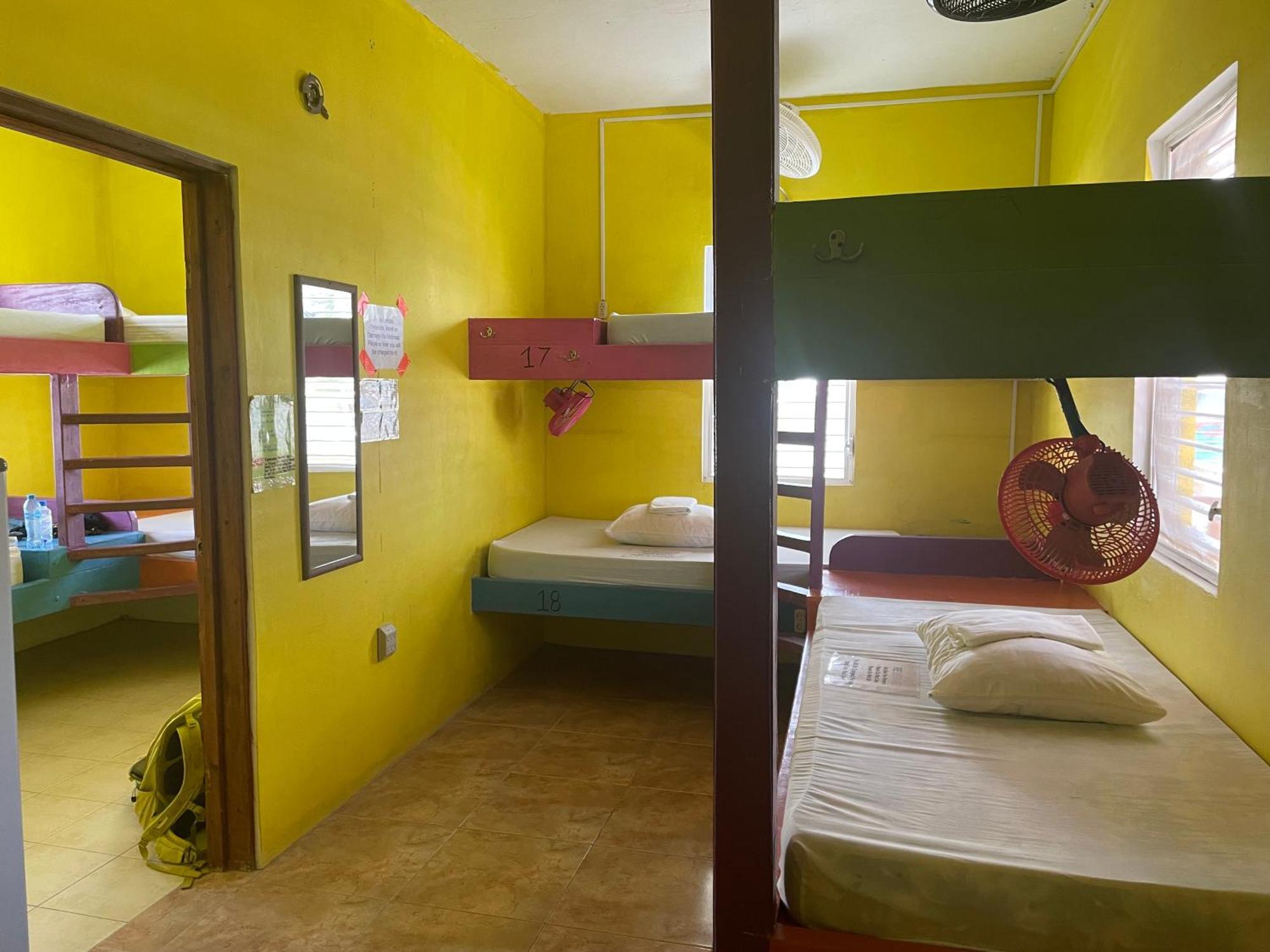 Хостел Travellers Palm Backpackers Кей-Колкер Экстерьер фото
